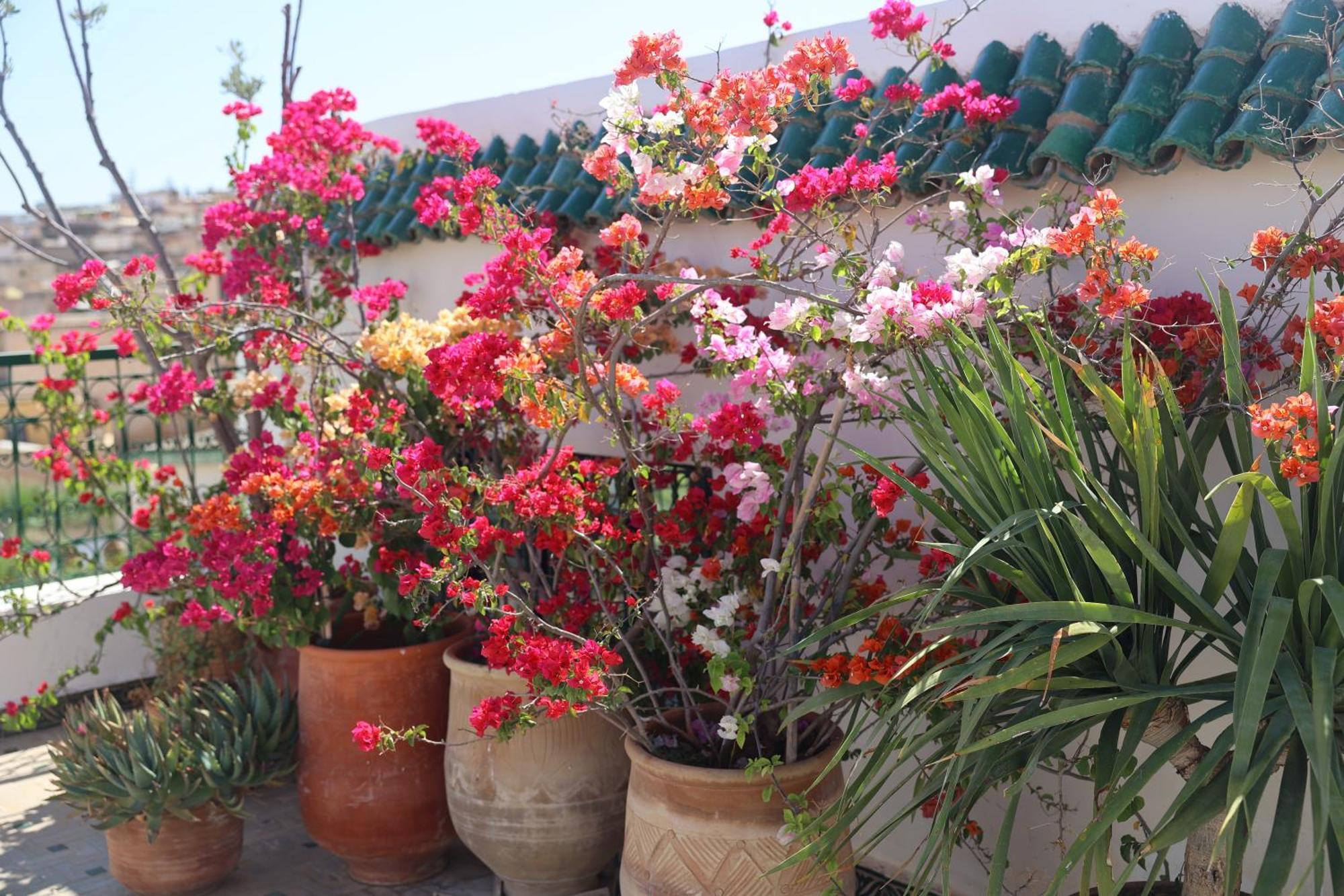 Riad Batchisarai Fes Exterior photo